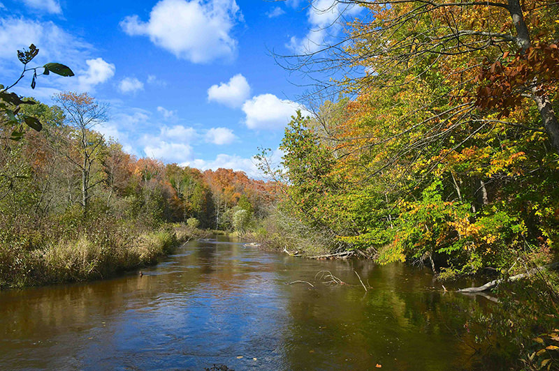 Betsie River Pathway